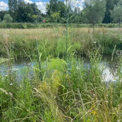 Gracht Park - Sittard