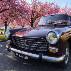 Gracht Park - Sittard