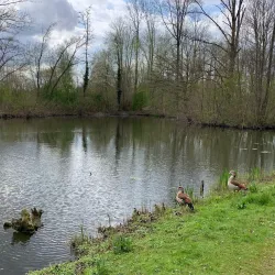 Park Schutterswei - Sittard