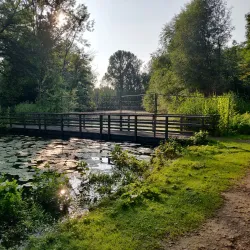 Park Schutterswei - Sittard