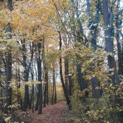 Park Schutterswei - Sittard