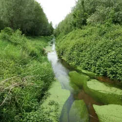 Park Schutterswei - Sittard