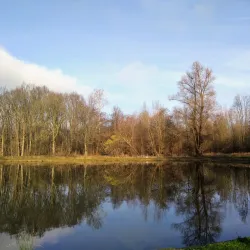 Park Schutterswei - Sittard