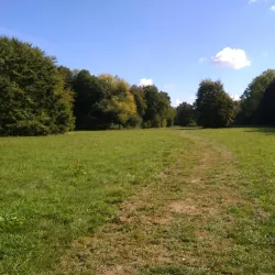 Park Schutterswei - Sittard