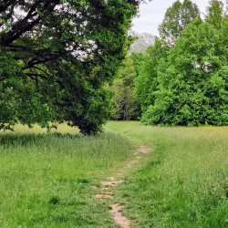 Park Schutterswei - Sittard