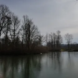 Park Schutterswei - Sittard