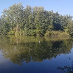 Park Schutterswei - Sittard