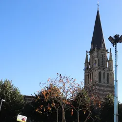 St. Peter's Church (Sint-Petruskerk) - Sittard
