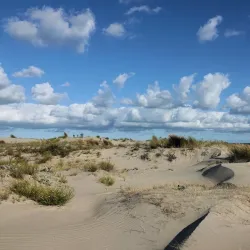 De Hoek Nature Reserve - Spijkenisse