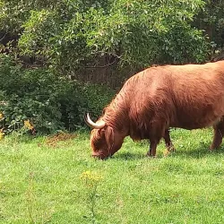 Spijkenisse City Park (Stadspark Spijkenisse) - Spijkenisse
