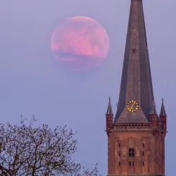 De Grote of Sint-Clemenskerk - Steenwijk