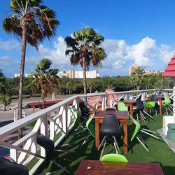 De Olde Molen - Steenwijk