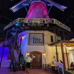 De Olde Molen - Steenwijk