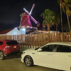 De Olde Molen - Steenwijk