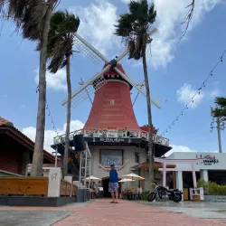 De Olde Molen - Steenwijk
