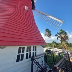 De Olde Molen - Steenwijk