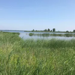 De Wieden Nature Reserve - Steenwijk