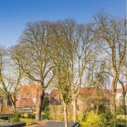 Steenwijk City Hall - Steenwijk