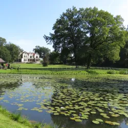 Steenwijk City Hall - Steenwijk