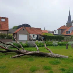Steenwijk City Hall - Steenwijk