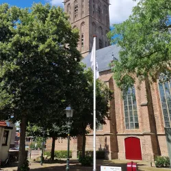 Steenwijk Market - Steenwijk