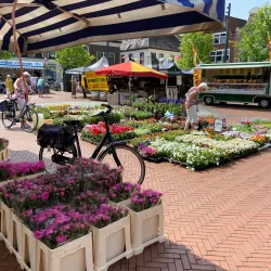 Steenwijk Market - Steenwijk