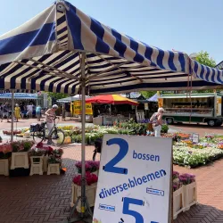 Steenwijk Market - Steenwijk