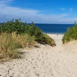 De Banjaard Beach - Terneuzen