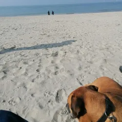 De Banjaard Beach - Terneuzen
