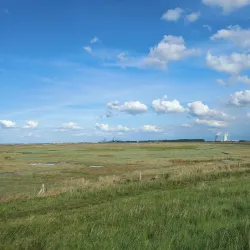 Het Verdronken Land van Saeftinghe - Terneuzen