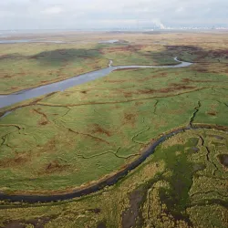 Het Verdronken Land van Saeftinghe - Terneuzen