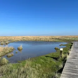 Het Verdronken Land van Saeftinghe - Terneuzen