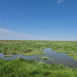 Het Verdronken Land van Saeftinghe - Terneuzen