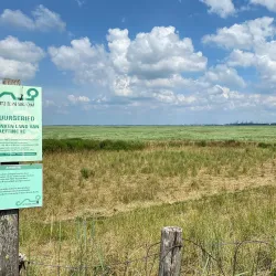 Het Verdronken Land van Saeftinghe - Terneuzen