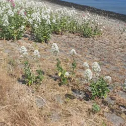 Kanaal door Zuid-Beveland - Terneuzen