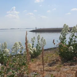 Kanaal door Zuid-Beveland - Terneuzen