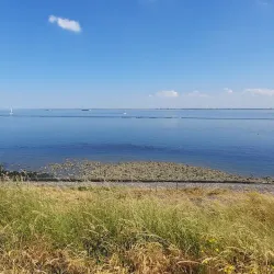 Kanaal door Zuid-Beveland - Terneuzen