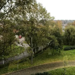 Port of Terneuzen - Terneuzen