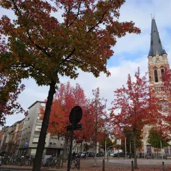 Sint Willibrordus Church - Terneuzen