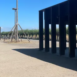 Zuidzwin Nature Reserve - Terneuzen