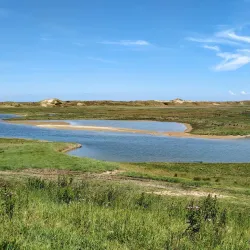 Zuidzwin Nature Reserve - Terneuzen