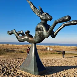 Zuidzwin Nature Reserve - Terneuzen