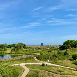 Zuidzwin Nature Reserve - Terneuzen