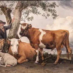 Mauritshuis Museum - The Hague (Den Haag)