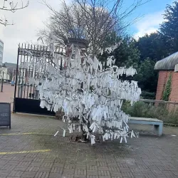 Peace Palace (Vredespaleis) - The Hague (Den Haag)