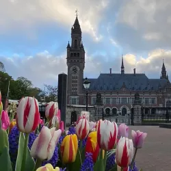 Peace Palace (Vredespaleis) - The Hague (Den Haag)