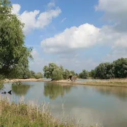 De Betuwe Nature Reserve - Tiel