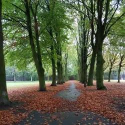 City Park (Stadspark) - Tilburg
