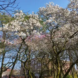 City Park (Stadspark) - Tilburg