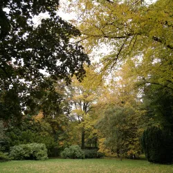 City Park (Stadspark) - Tilburg